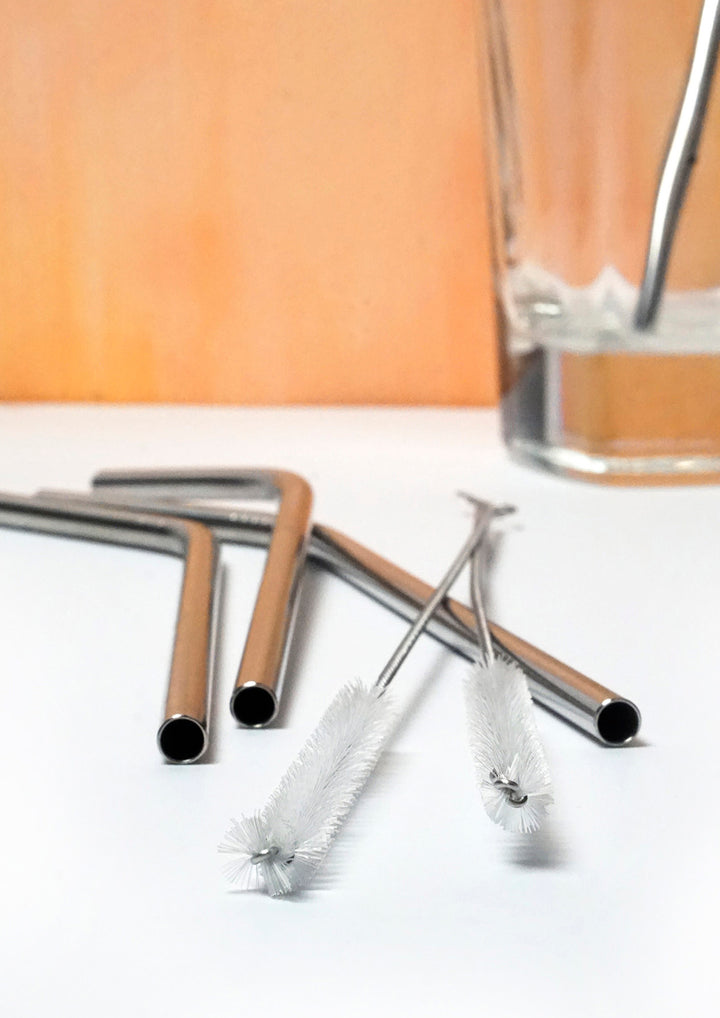 Straw Cleaning Brushes - 2 RSVP