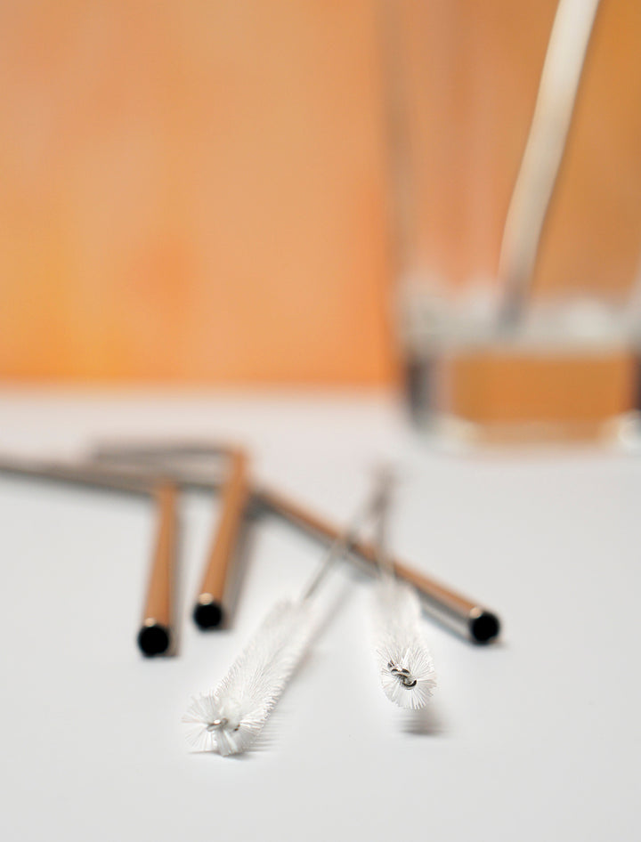 Straw Cleaning Brushes - 2 RSVP