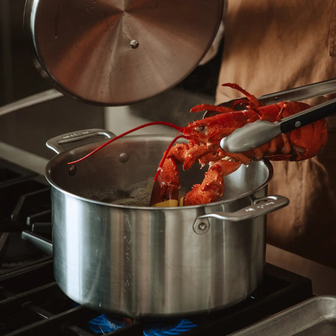 Made In 12 Qt Stainless Steel Stock Pot