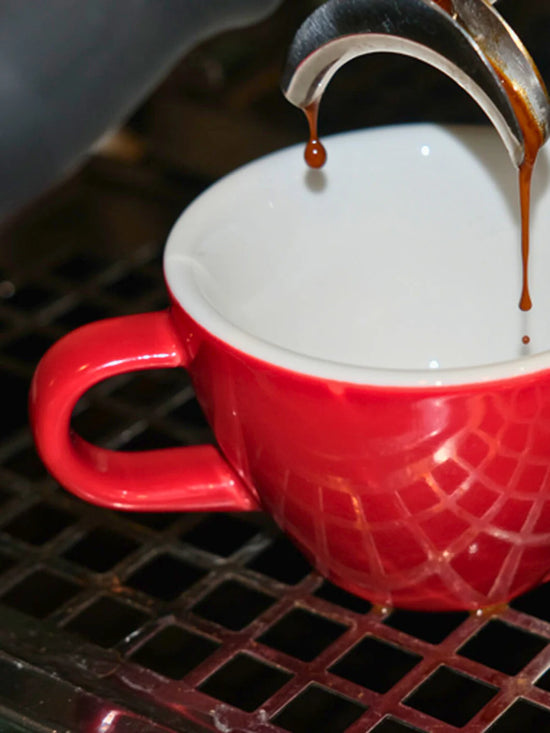 ACME Espresso Cappuccino Cup - 190ml/6.43oz - Rata