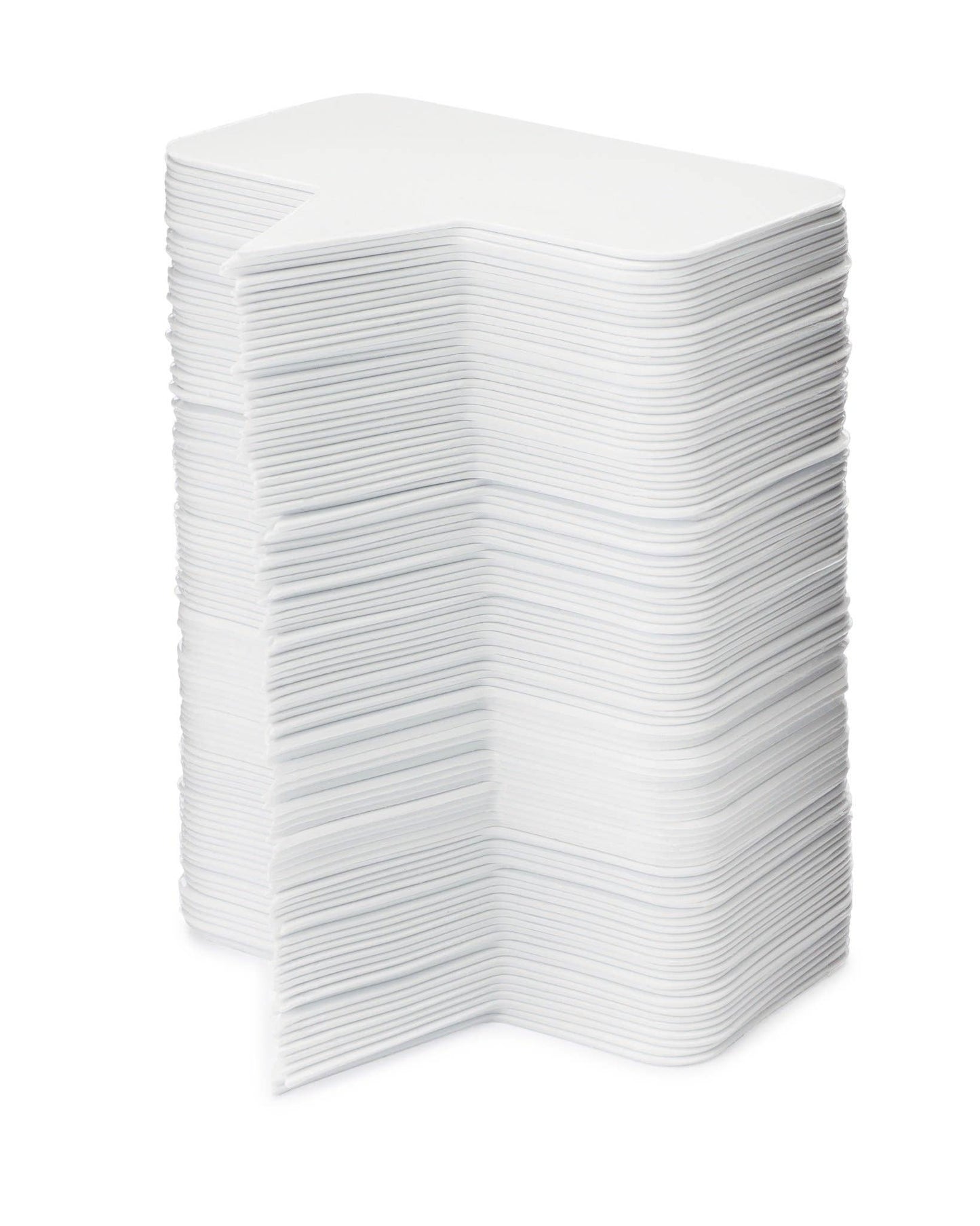 Cheese Signs, Large *each* - 2" x 2.25"