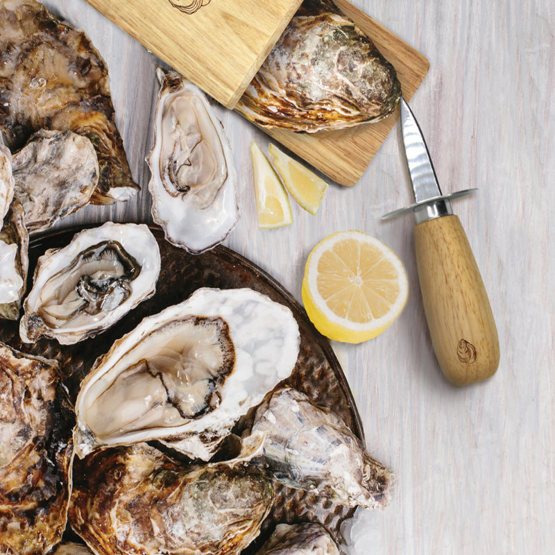 Oyster Shucker Tool Set