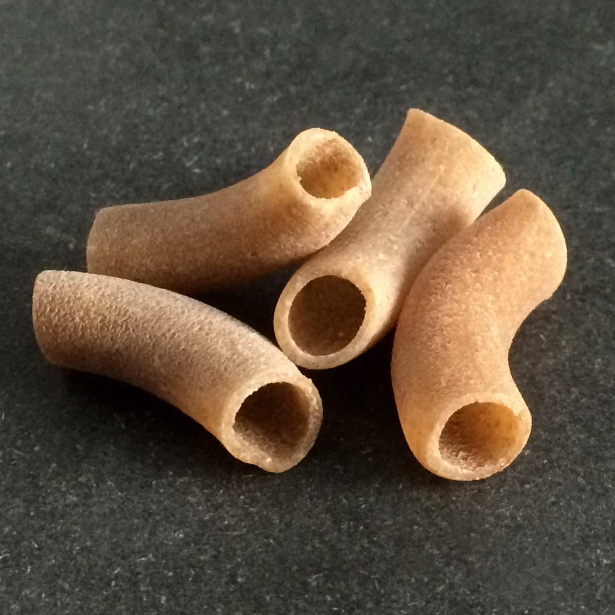 Sfoglini Organic Einkorn Macaroni Pasta