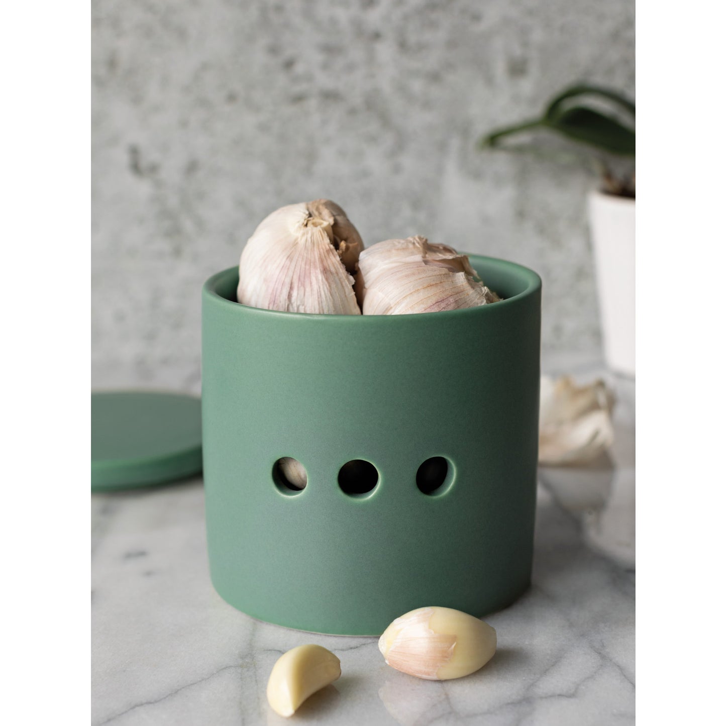 Garlic Keeper - Matte Elm Green