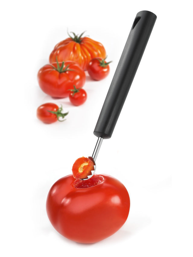 Tomato and Fruit Huller