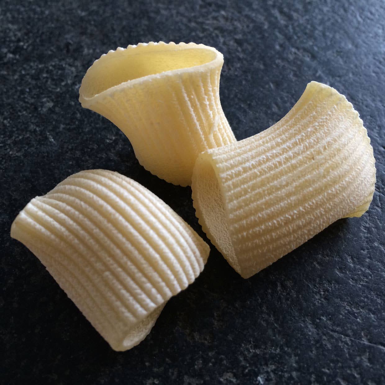 Sfoglini Organic Durum Semolina Rigatoni Pasta