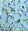 Dirty Apron Cookbook: Recipes, Tips and Tricks for Creating Delicious, Foolproof Dishes - David Robertson