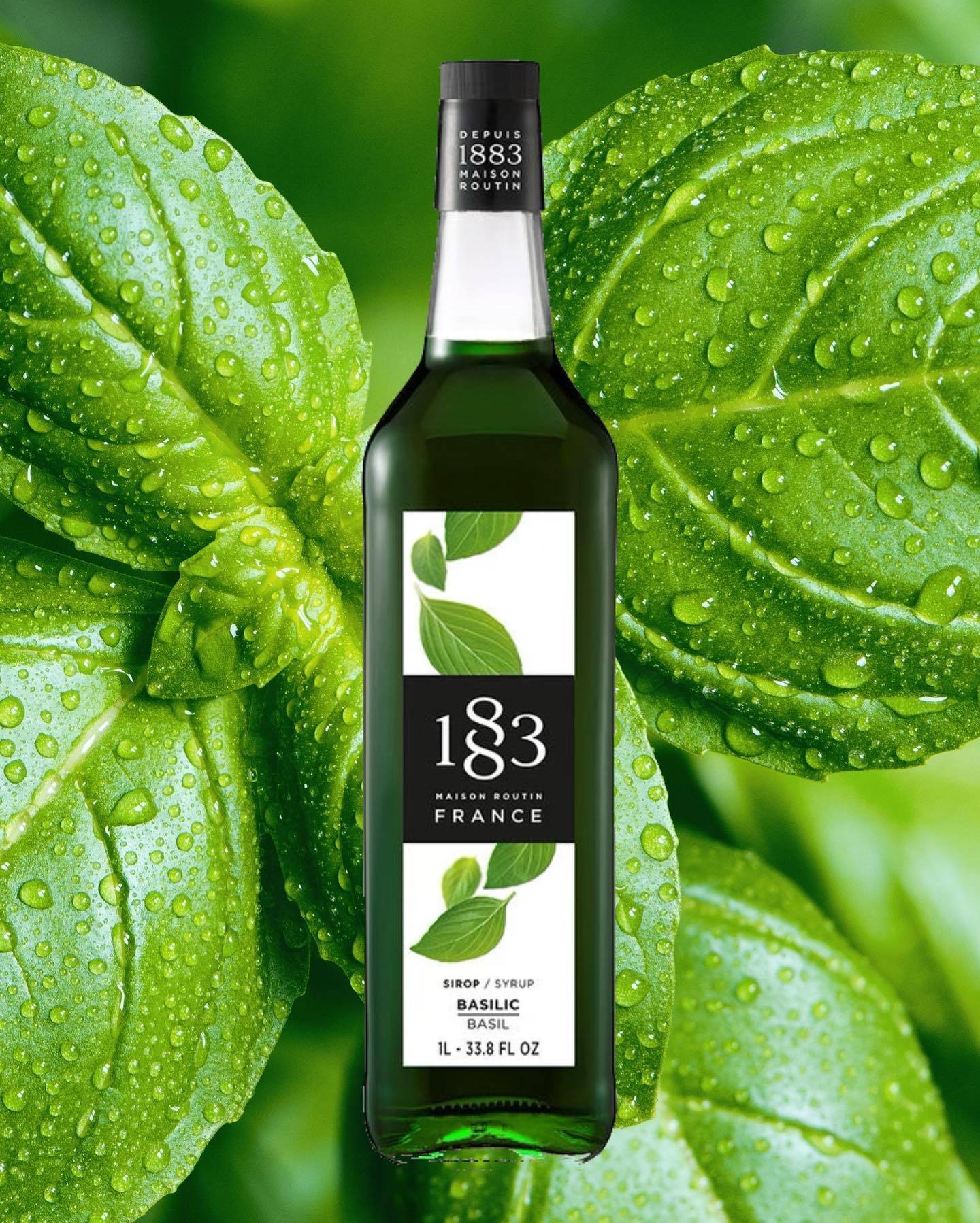 1883 - Basil Syrup 1L