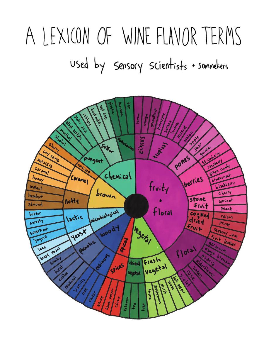 Flavorama: A Guide to Unlocking the Art and Science of Flavor - Arielle Johnson, Ph.D.