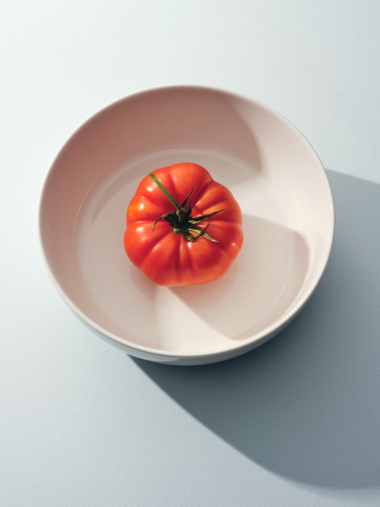 førs large bowl - coral