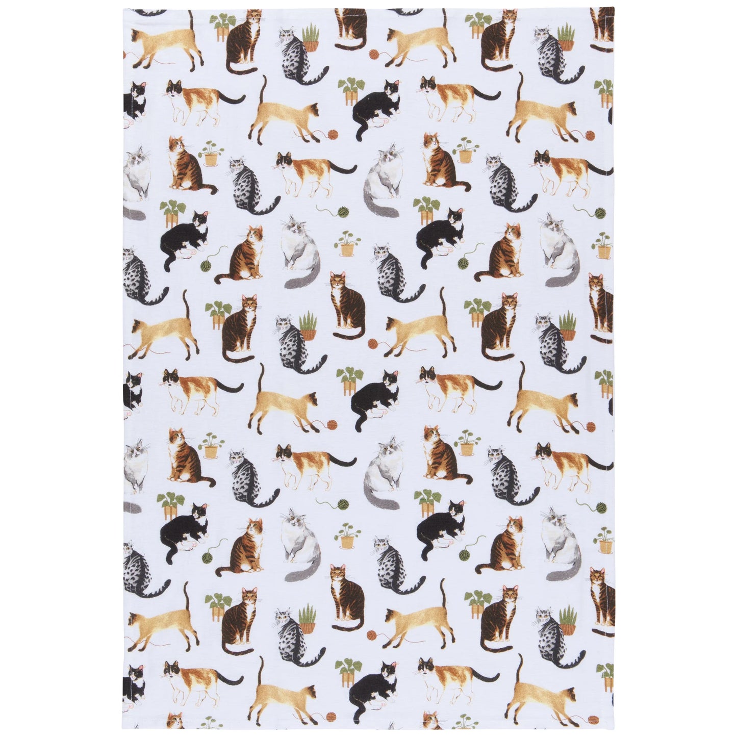 Floursack Dishtowel Set/3 - Cat Collective