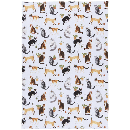 Floursack Dishtowel Set/3 - Cat Collective