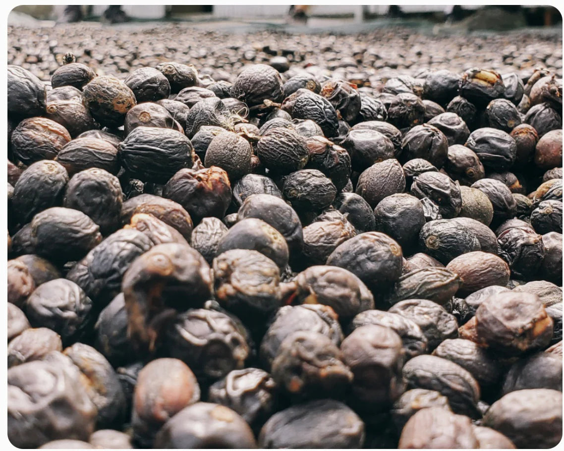 Cognito Coffee Roasters Jhon Alvarado - 340g
