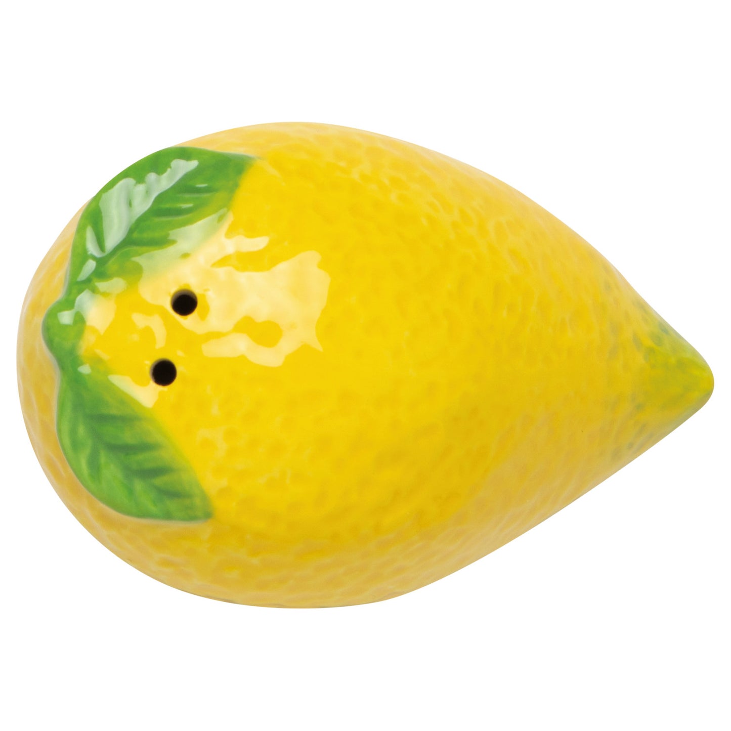 Citrus Burst Salt and Pepper Shakers S/2