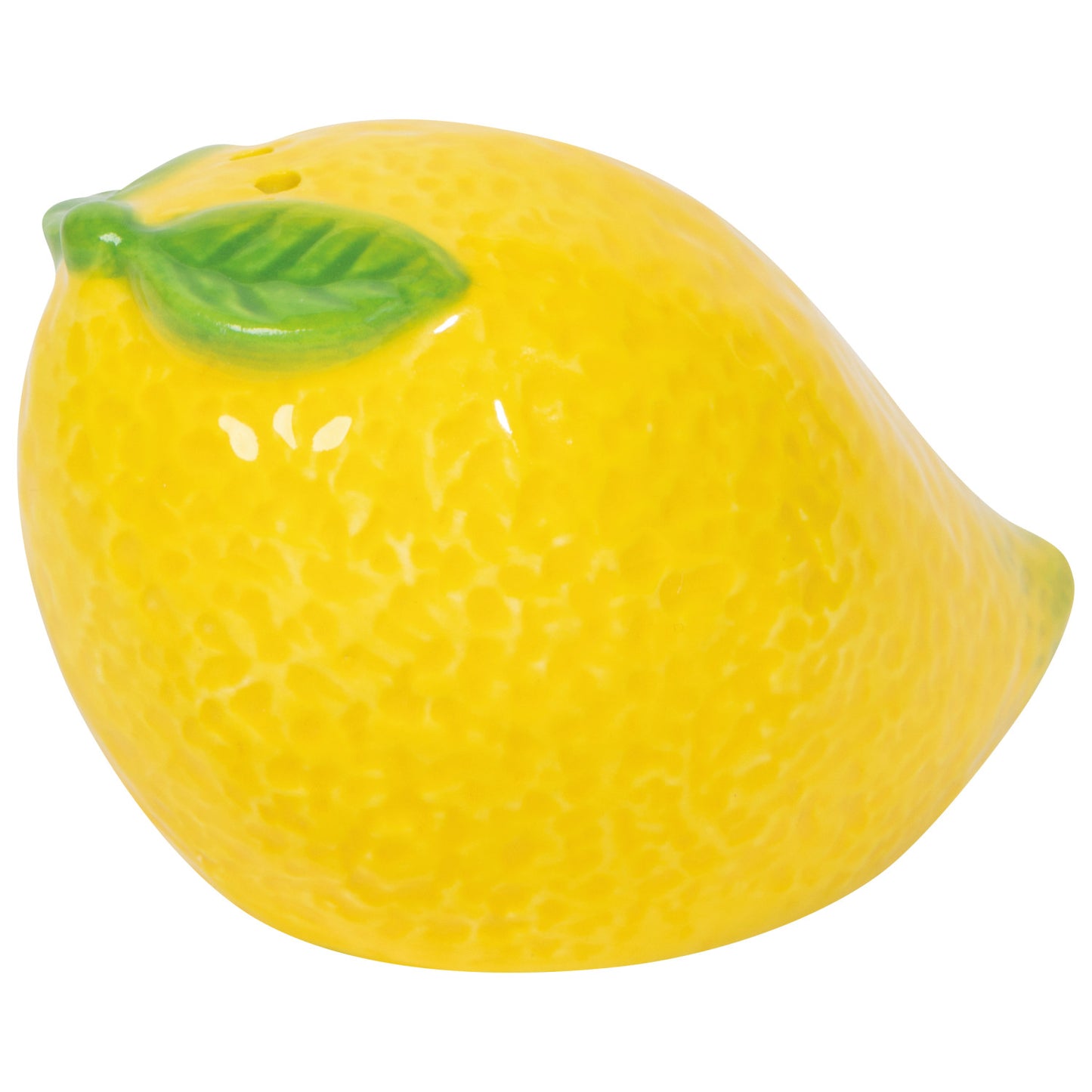 Citrus Burst Salt and Pepper Shakers S/2