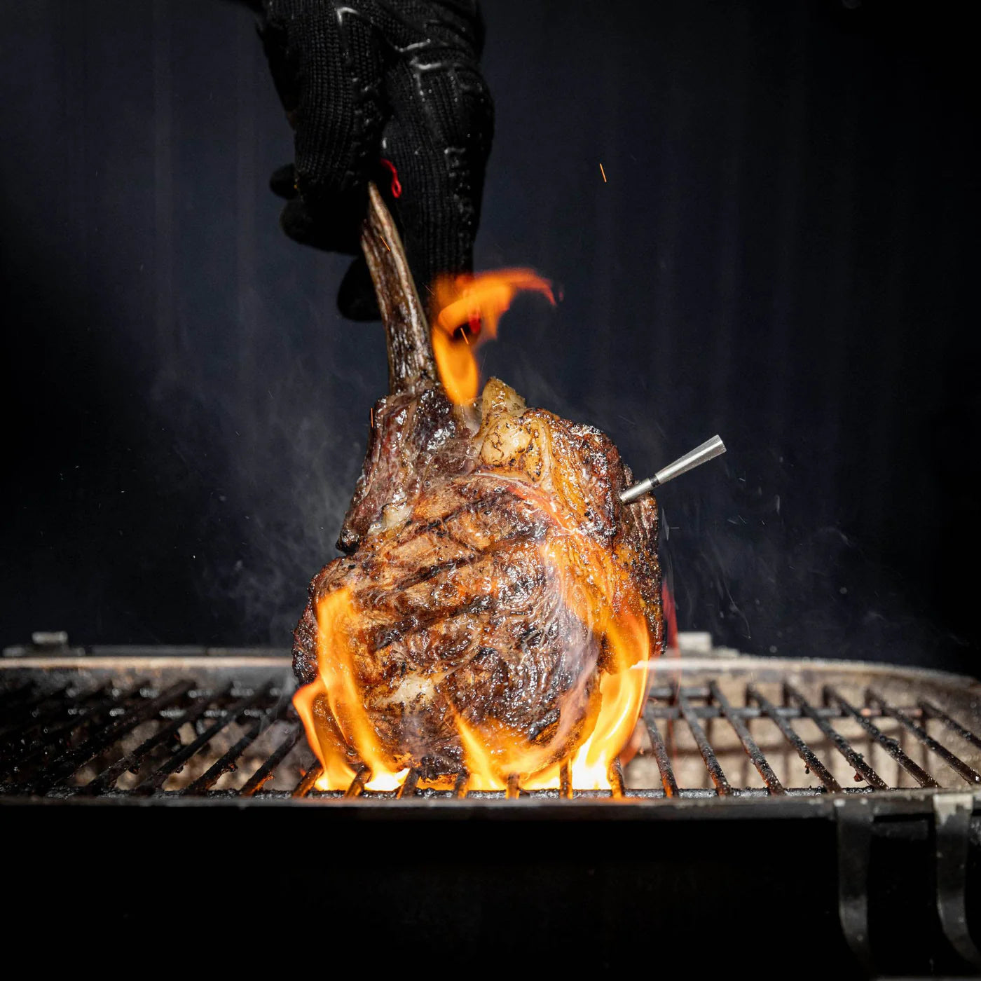 Meater Pro Wireless Meat Thermometer