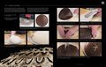 Modernist Bread - 5 Volume Set + Recipe Manual