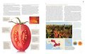 Modernist Pizza - 3 Volume Set + Recipe Manual