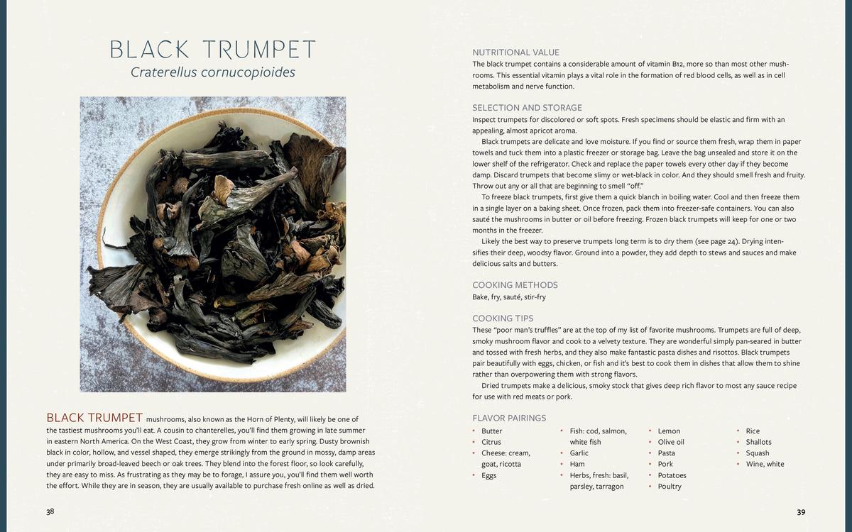 Mushroom Gastronomy - Krista Towns