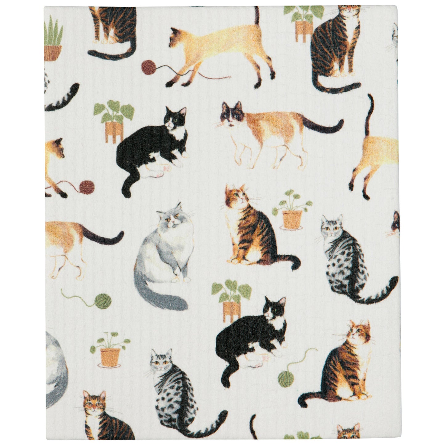 Countryside Eco Dishcloth Roll - Assorted Designs