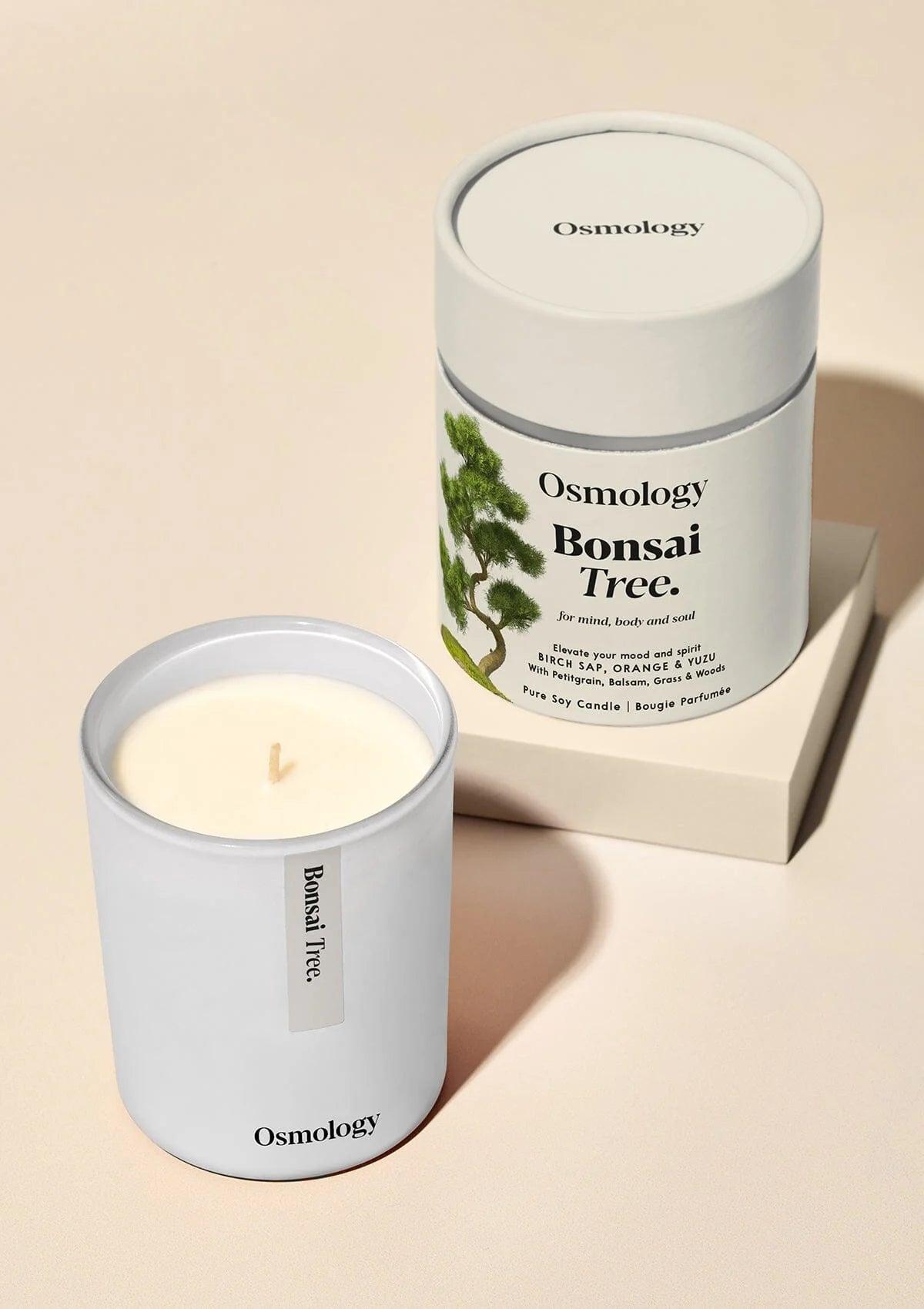 Bonsai Tree 7 oz Candle - Birch Sap Orange and Yuzu (40% off at checkout)
