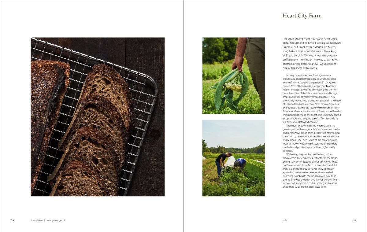 Perch: Soil / Land / Sea - A Cookbook - Justin Champagne-Lagarde, Mandel Hitzer
