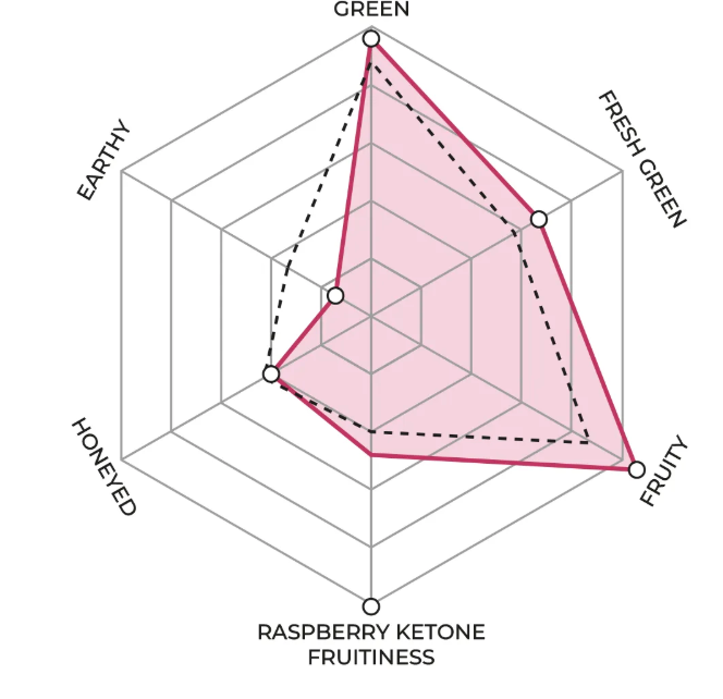 1883 - Dragonfruit Syrup 65ml