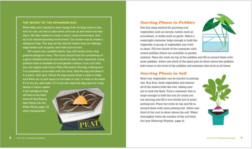 Don't Throw It, Grow It, (Second Edition): 68 Windowsill Plants from Kitchen Scraps - Deborah Peterson & Millicent Selsam