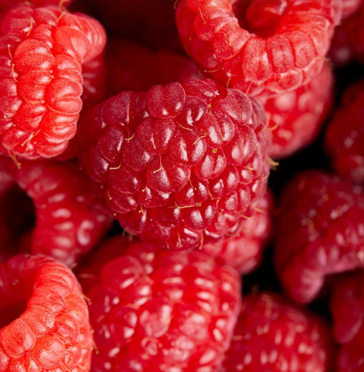 Single Variety Co. Maravilla Raspberry Preserve - 190ml