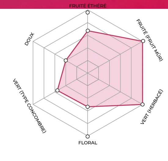 1883 - Dragonfruit Puree 1L (Shelf Stable)