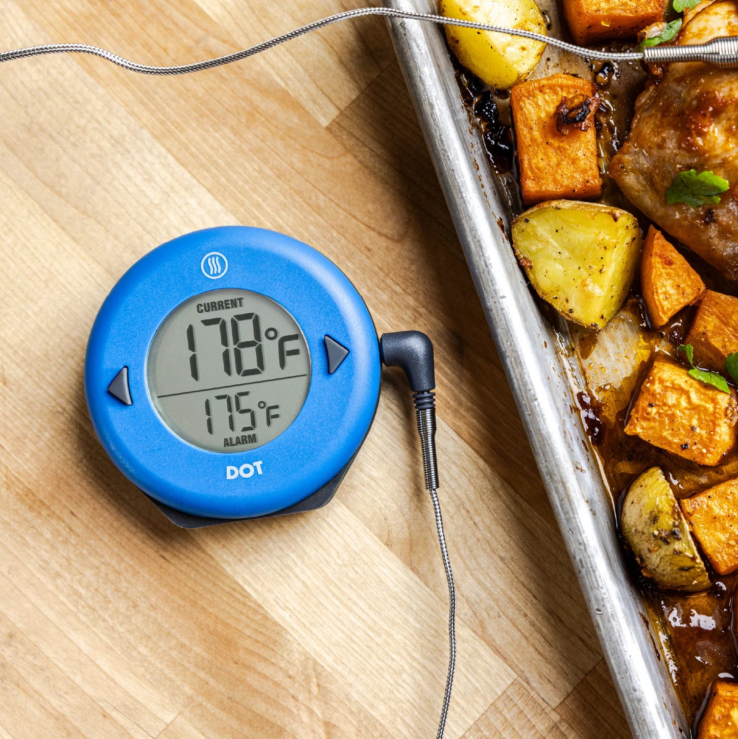 ThermoWorks DOT Simple Alarm Thermometer