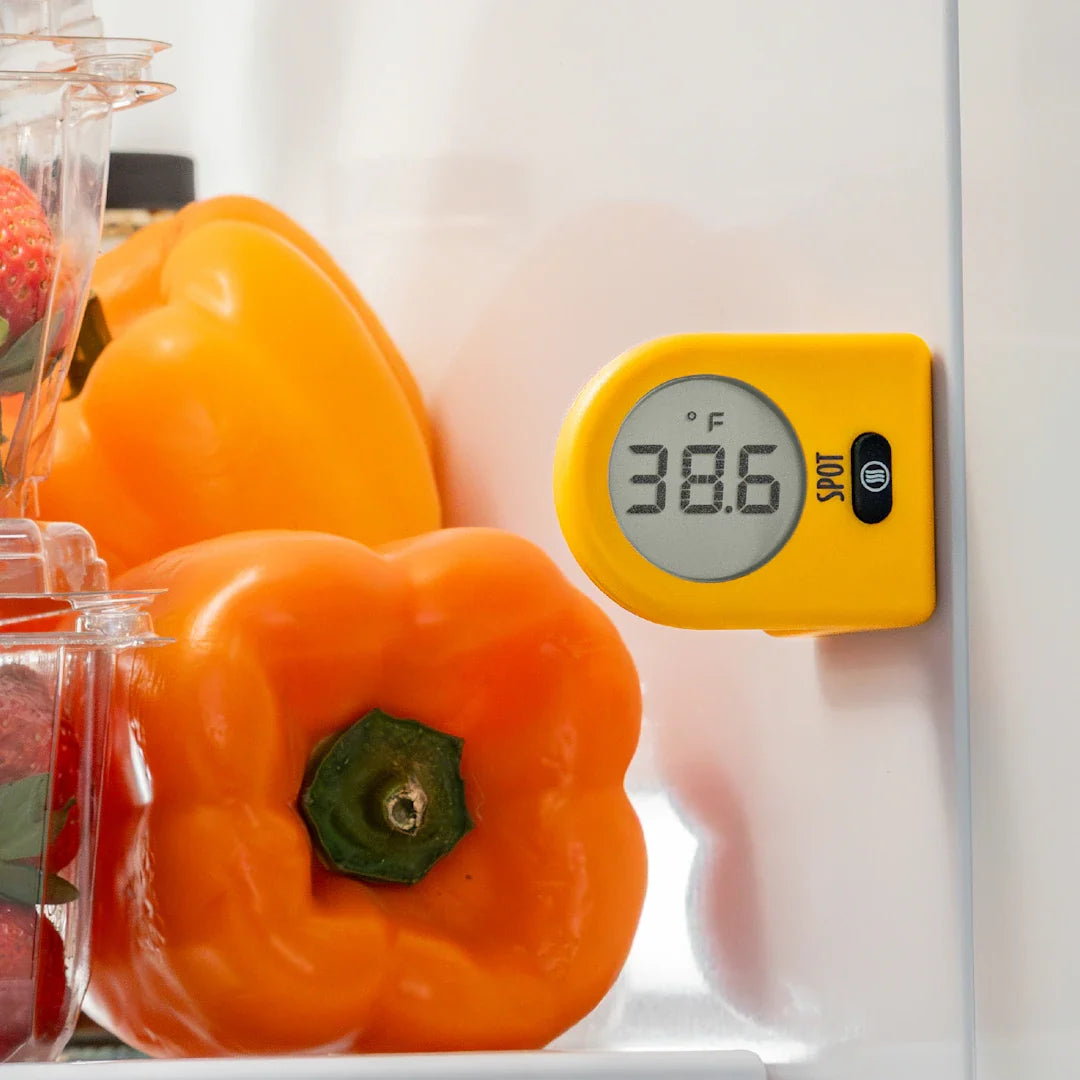 ThermoWorks Spot Fridge & Everywhere Thermometer