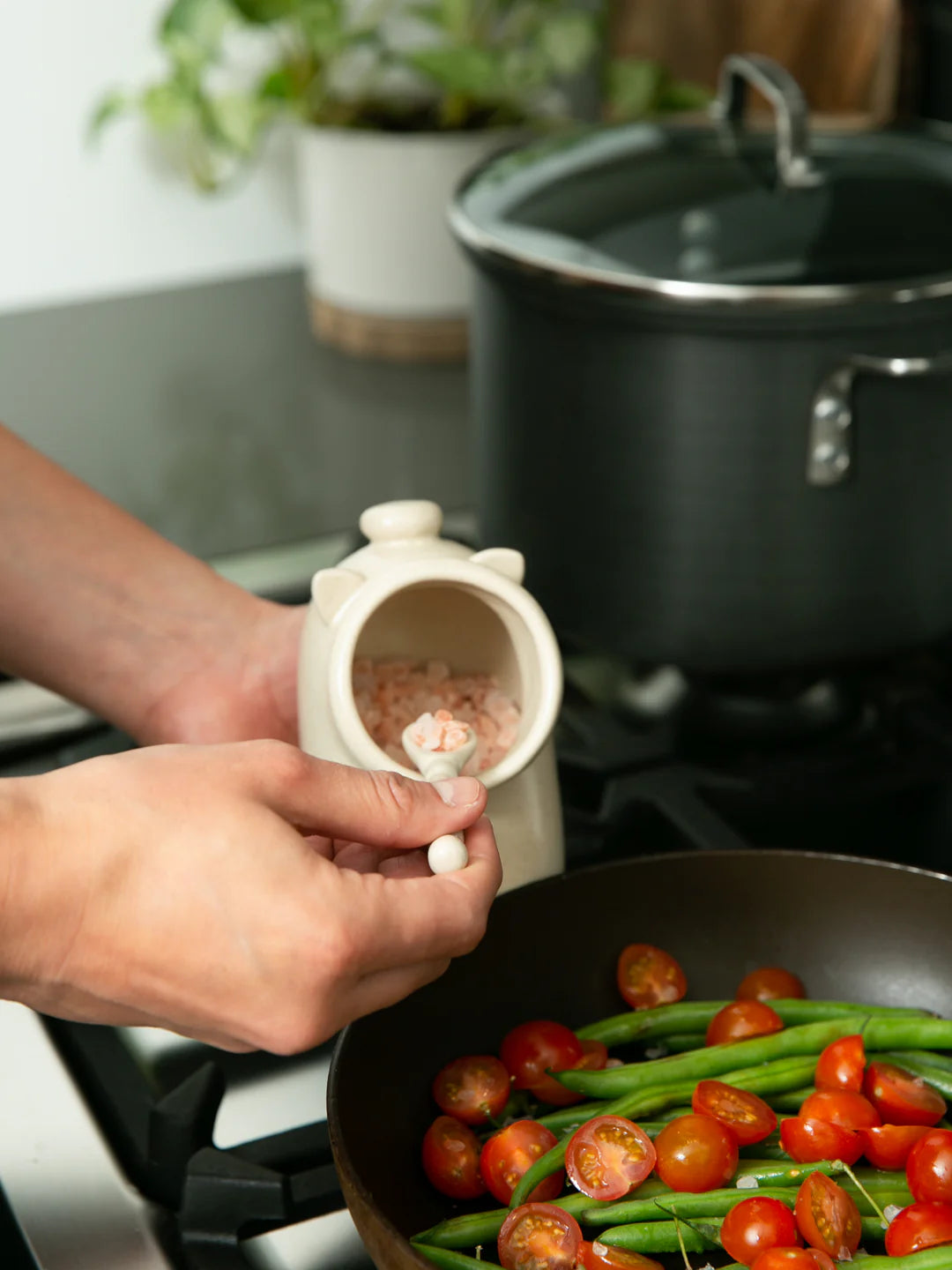 Stoneware Salt Pig w/spoon Oat