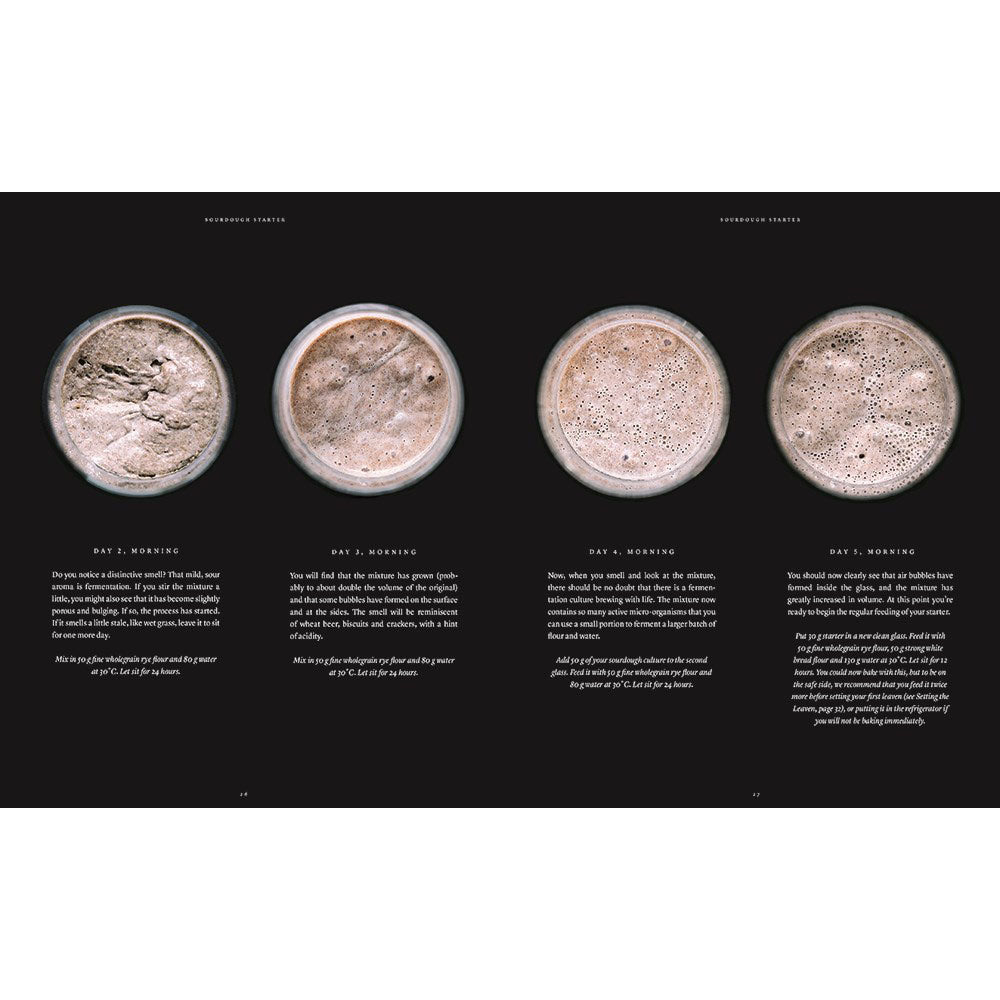 Artisan Sourdough: Wholesome Recipes, Organic Grains - Casper Andre Lugg, Martin Ivar Hveem Fjeld