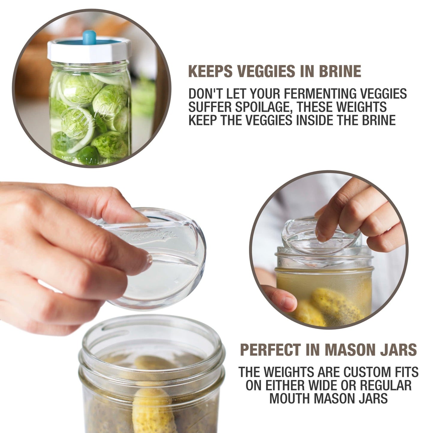 Pickle Pebble REGULAR 4-pack Glass Fermentation Weights