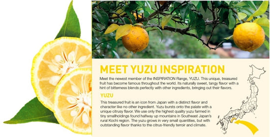 Valrhona Inspirations - Yuzu 300g