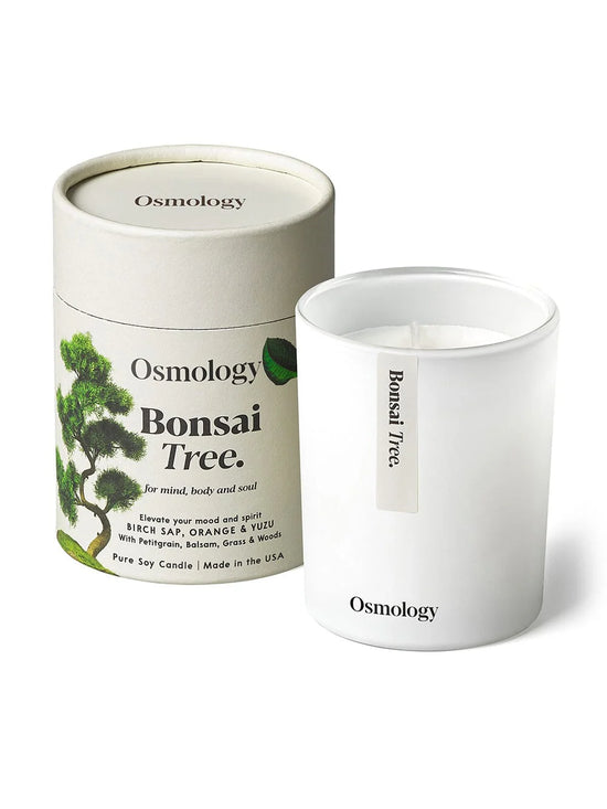 Bonsai Tree 7 oz Candle - Birch Sap Orange and Yuzu (40% off at checkout)