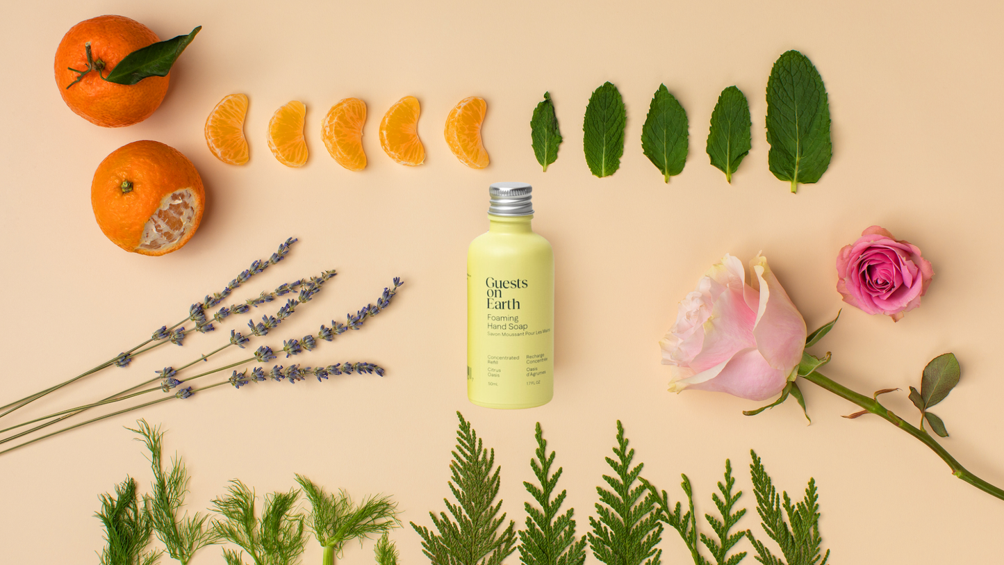 Guests on Earth All-Purpose Cleaner - Citrus Oasis