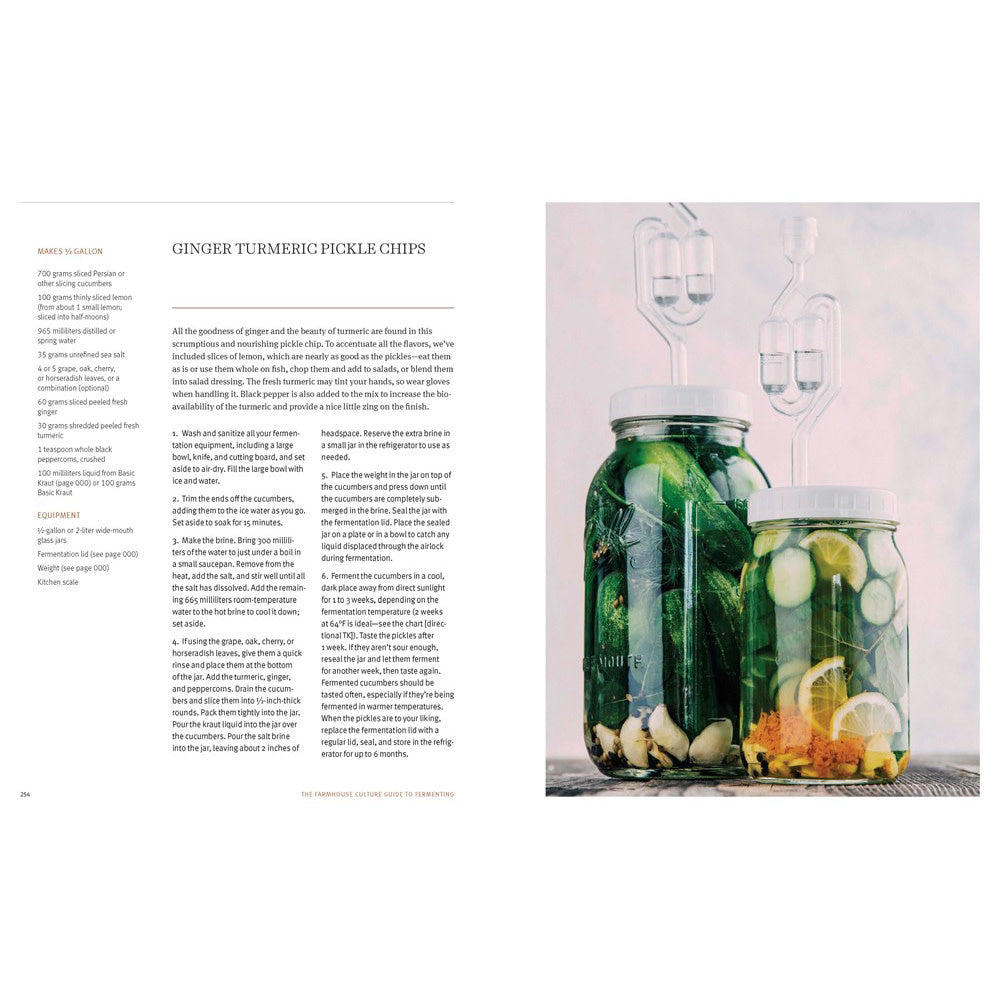 Farmhouse Culture Guide to Fermenting