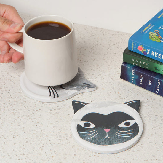 Ceramic Coaster - Soak Up S/4 - Cats Meow