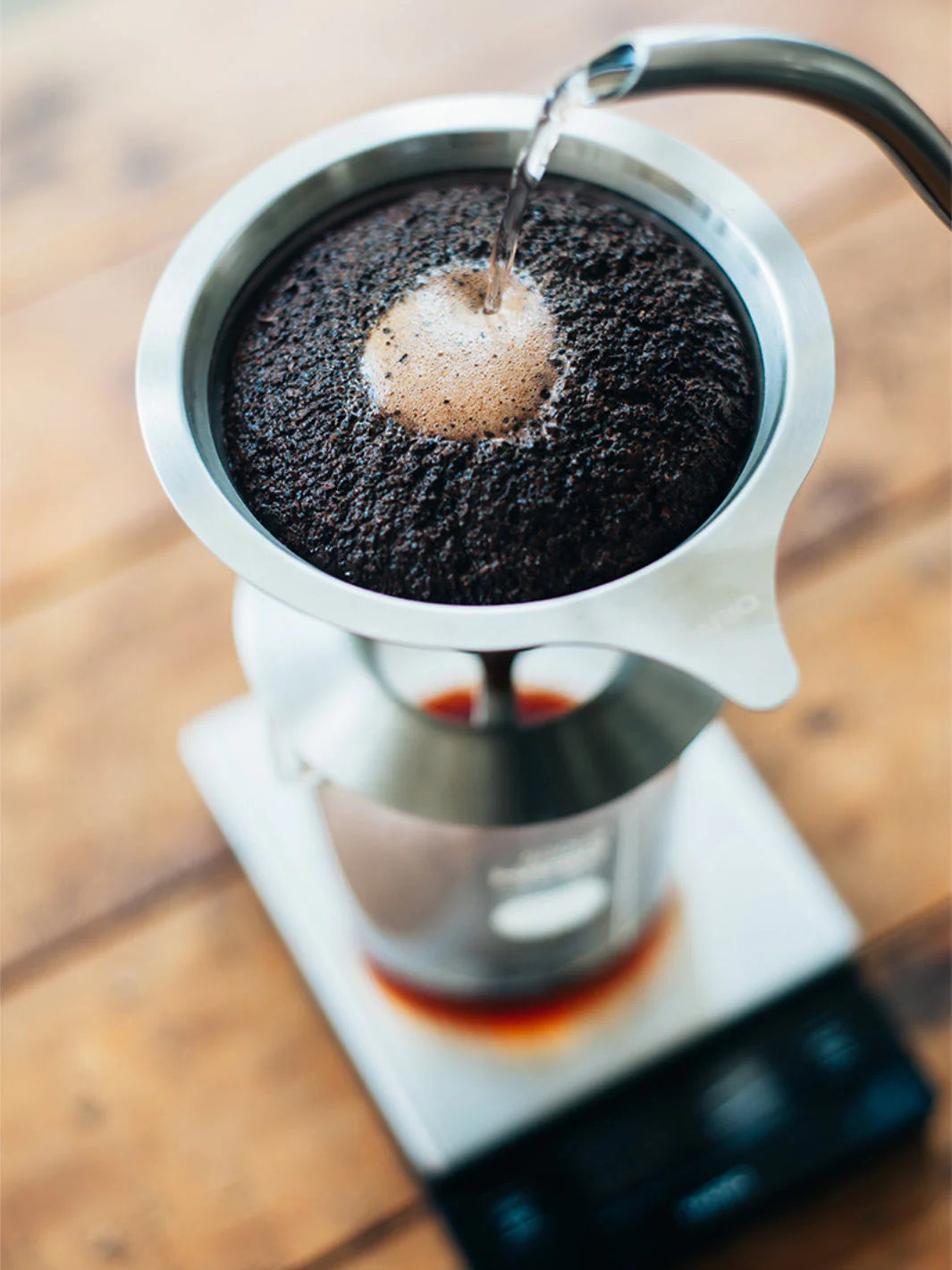 Hario 02 Dual Mesh Filter Dripper