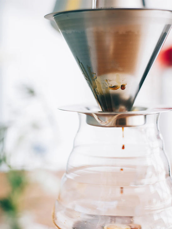 Hario 02 Dual Mesh Filter Dripper