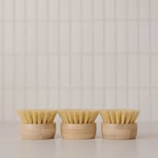 Nellies Forever Brush Replacement Heads 3