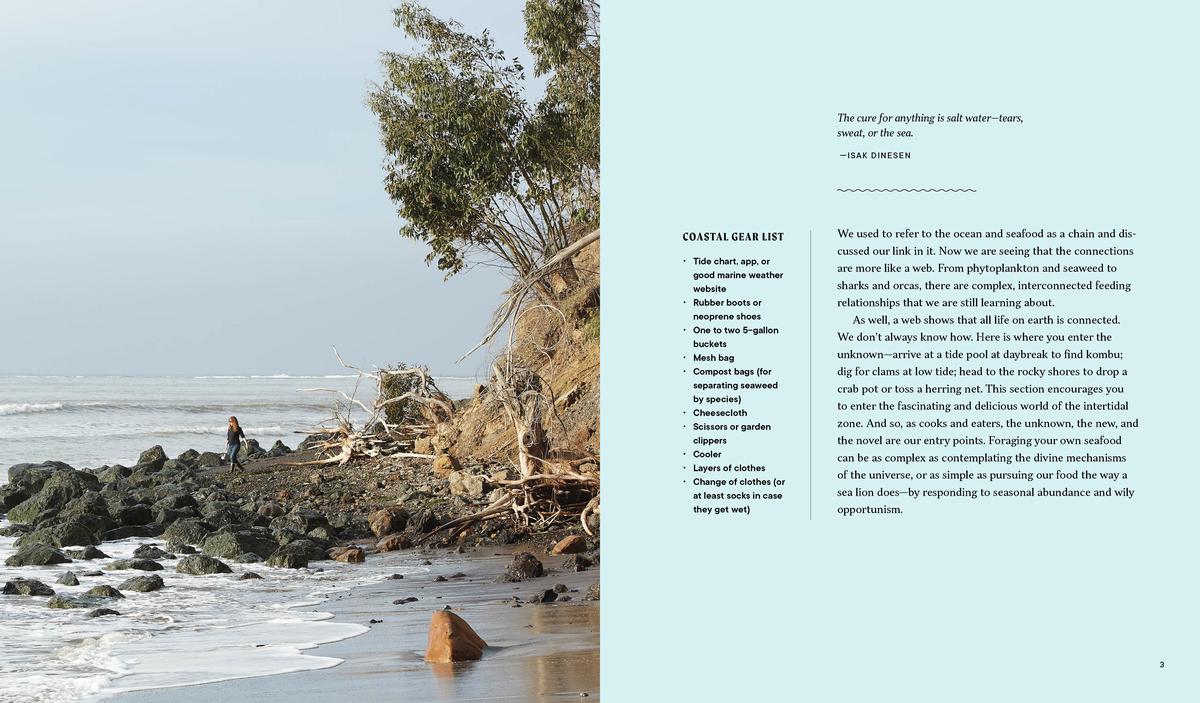 Forage. Gather. Feast.: 100+ Recipes from West Coast Forests, Shores, and Urban Spaces - Maria Finn & Marla Aufmuth
