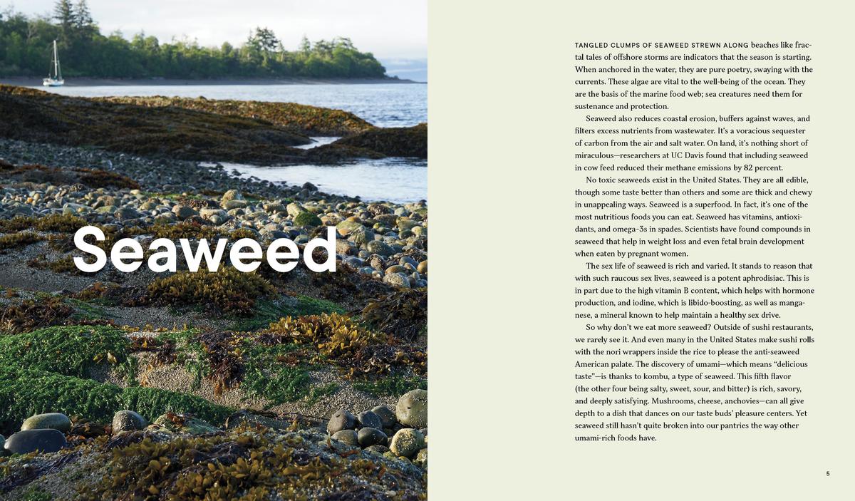 Forage. Gather. Feast.: 100+ Recipes from West Coast Forests, Shores, and Urban Spaces - Maria Finn & Marla Aufmuth