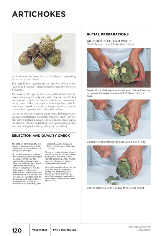 The French Chef Handbook - Michel Maincent-Morel
