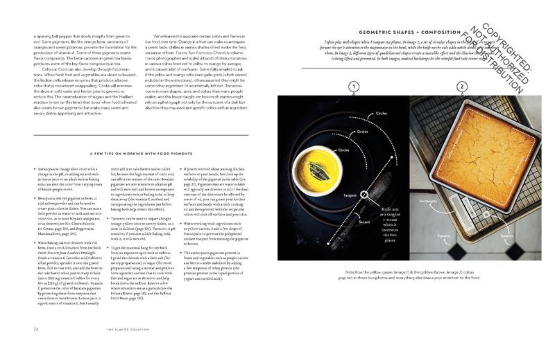 The Flavor Equation - Nik Sharma