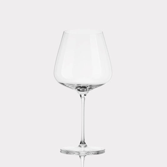 Fable Pinot Noir Glasses 4pc - Classic
