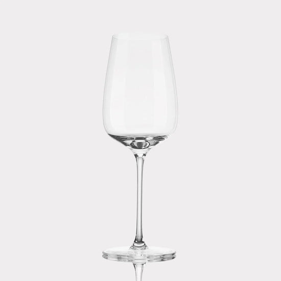 Fable Sauvignon Blanc Glasses 4pc Clear - Pro
