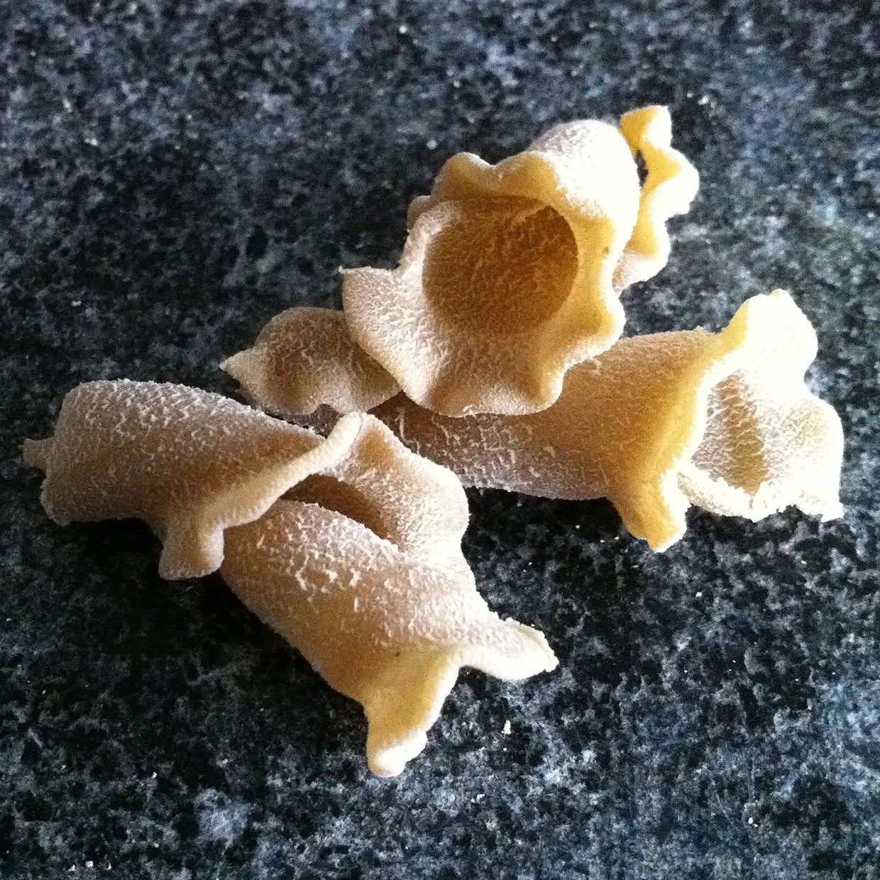 Sfoglini Porcini Trumpets Pasta (454g)
